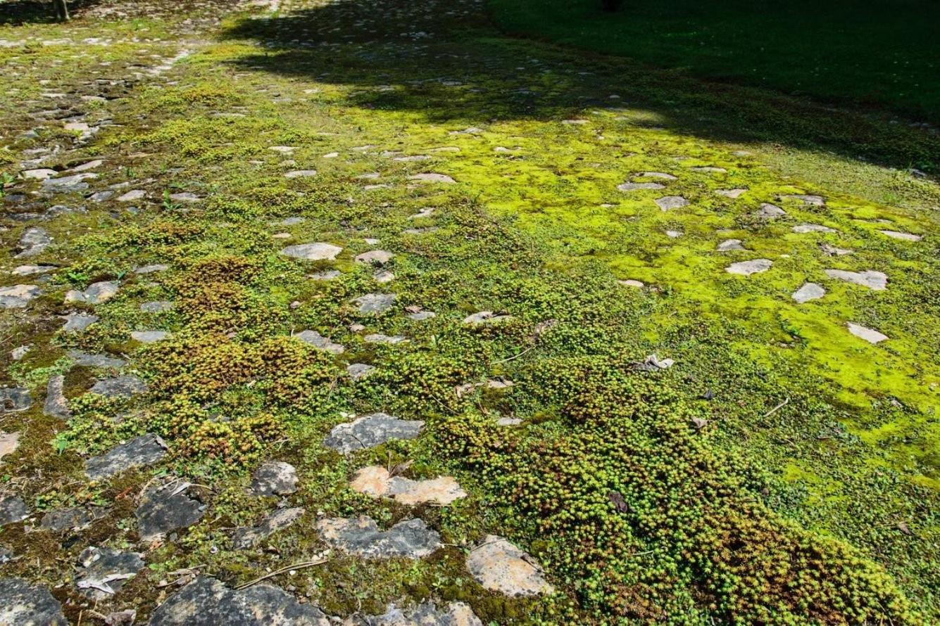 Rittergut/Gutshaus Grossgestewitz Naumburg  Exterior foto